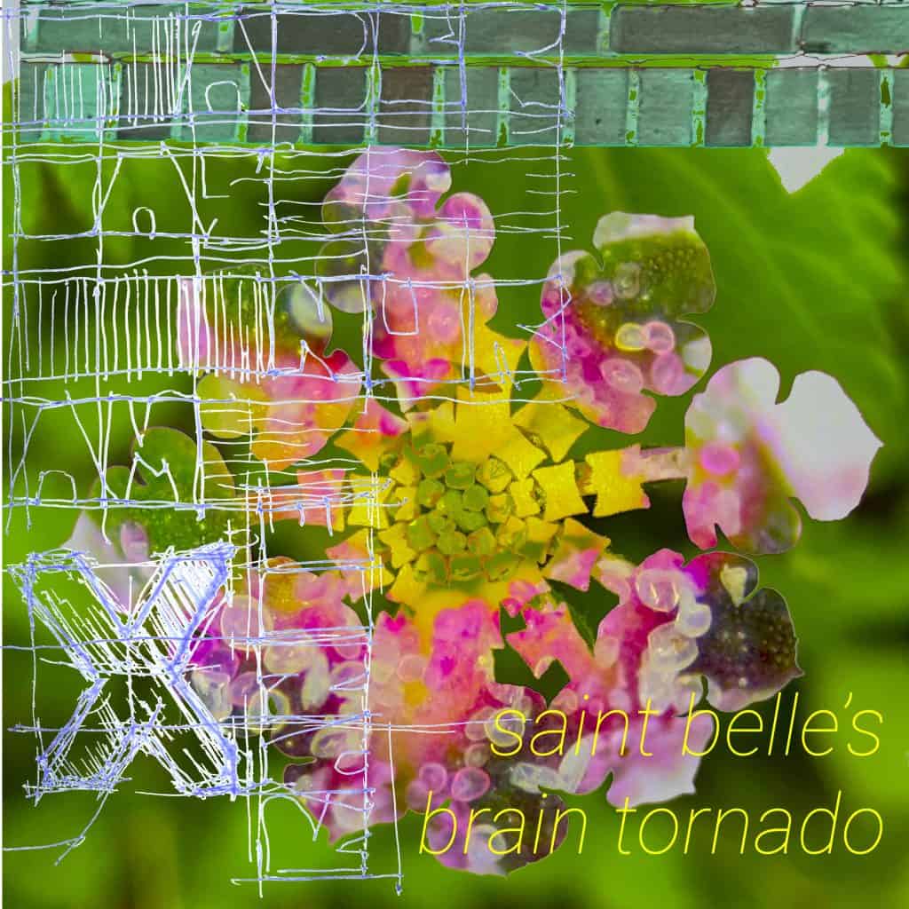 -09- saint belle´s brain tornado